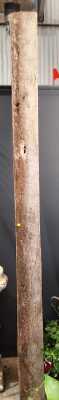 RUSTIC TIMBER PLANKS