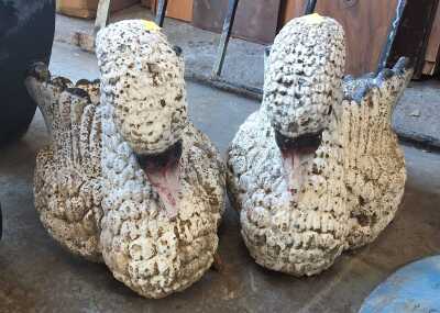 SWAN PLANTERS