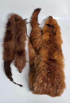 Fur Stoles