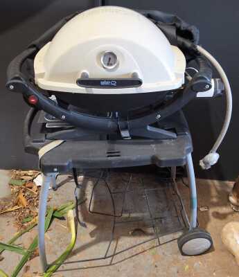 Weber Q