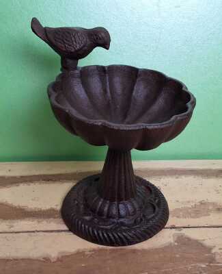 Bird Bath