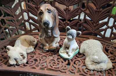 Cat And Dogs