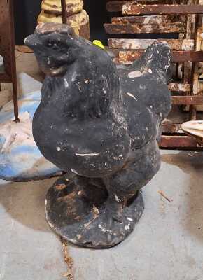 Rooster
