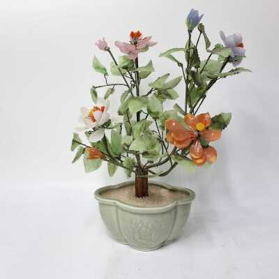 Jade Tree