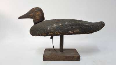 Decoy Duck