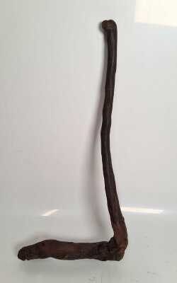 Hunting Stick