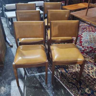 Dining Chairs