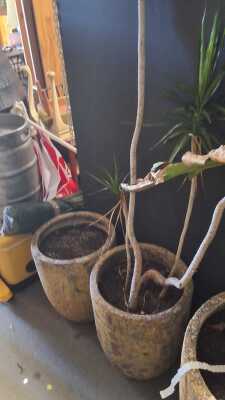 Crucible Pots