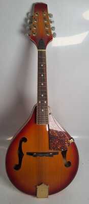 Mandolin