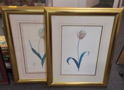 Prints
