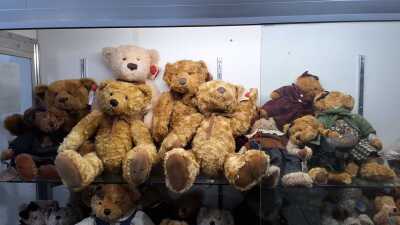 Teddy Bears
