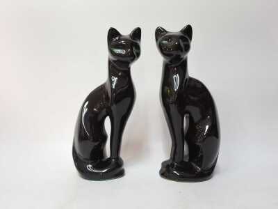 Black Cats
