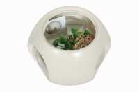 1984 FISH BOWL - 3
