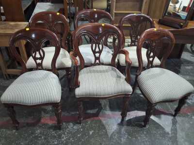 Dining Chairs