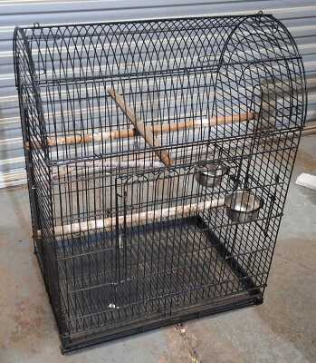 446 · BIRD CAGE