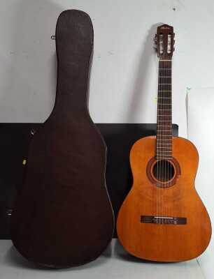 Acoustic Guitar