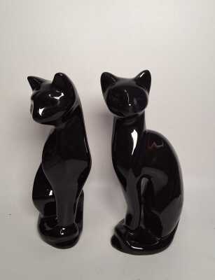 Black Cats