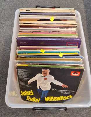 Assorted Vinyls