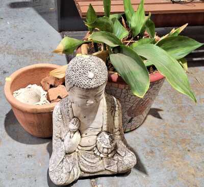 Garden Lot