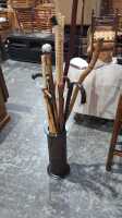 WALKING STICKS