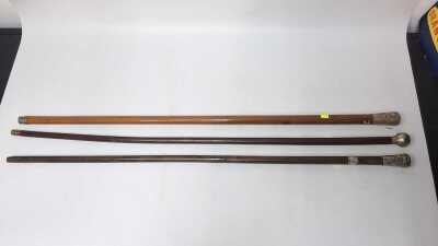 Walking Sticks
