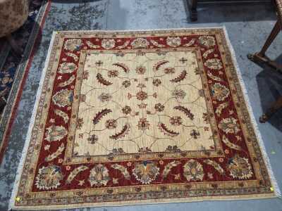 RUG