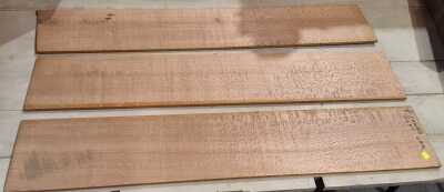 Gsilky Oak