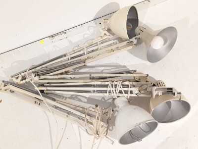 Desk Lamps