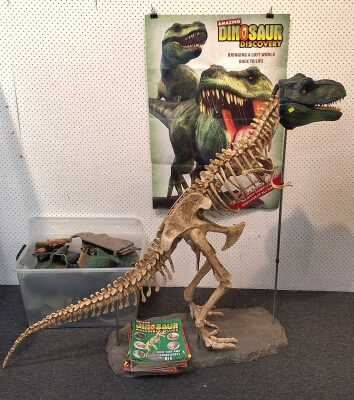 T-Rex Model