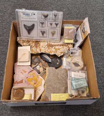 PREHISTORIC LOT