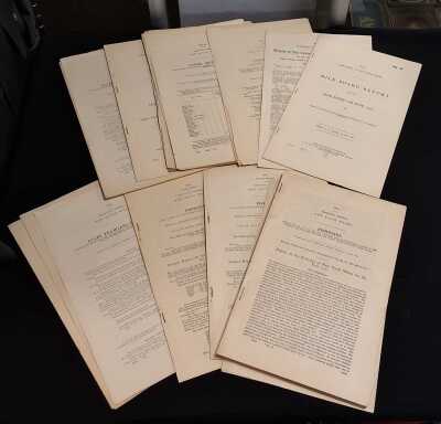 PARLIAMENTARY PAPERS