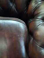 CHESTERFIELD LOUNGE - 2