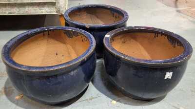 Garden Pots