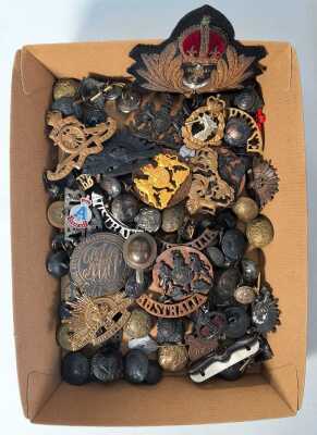 Buttons & Badges