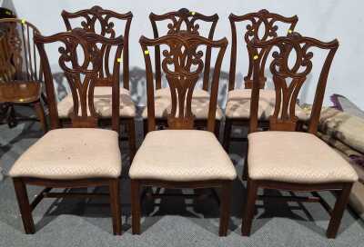 Dining Chairs