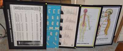 Medical Charts
