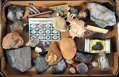 Fossils, Shells & More
