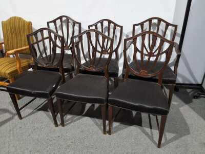 Dining Chairs
