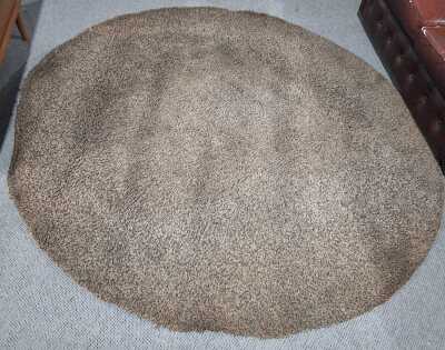 Shag Pile Rug