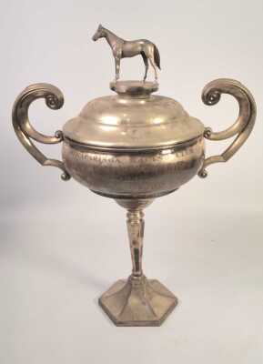 Silver Trophy Cup