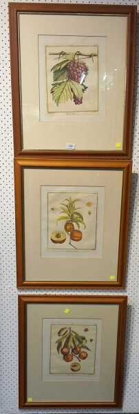 ENGRAVINGS