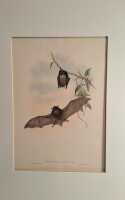 GOULD, JOHN & RICHTER,HENRY