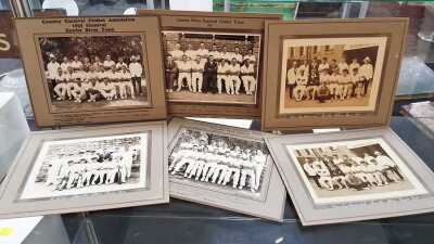 Cricket Team Photos
