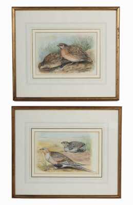 LILIAN MARGUERITE MEDLAND (Britain, Australia, 1880-1955) (Two works)