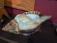 CERAMIC PLANTER - 2