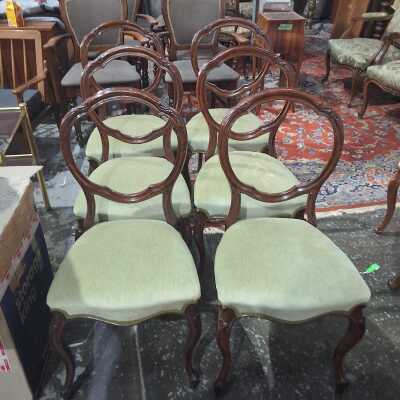 Dining Chairs