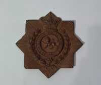CAP BADGE