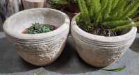 PLANTERS