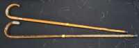 WALKING STICKS