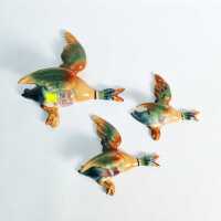 WALL DUCKS